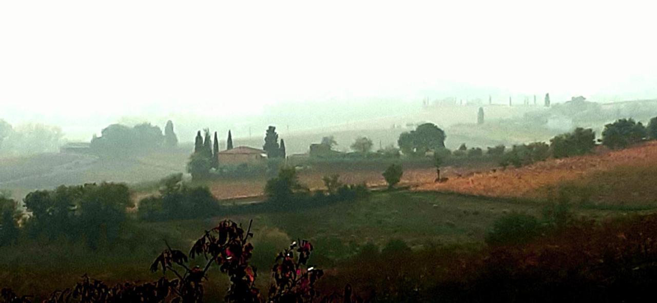 La Fenice B&B Montepulciano Stazione Екстериор снимка